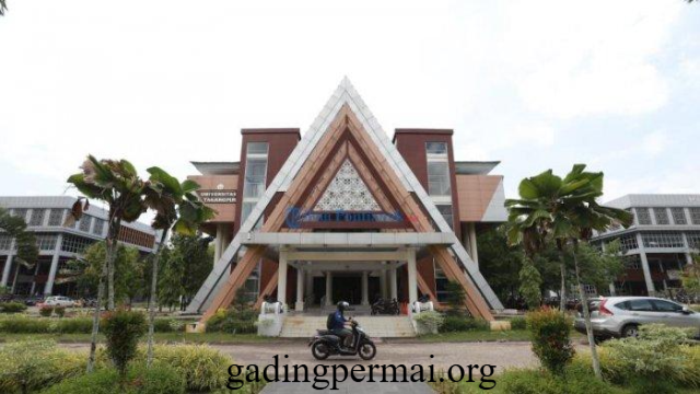 Jurusan Populer UNTAN Pontianak untuk Masa Depan Cerah