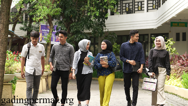 Universitas Panca Budi Jurusan Favorit dan Prospek Kerjanya