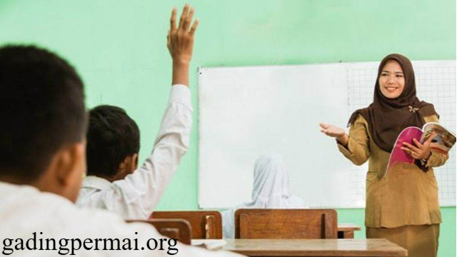 Begini Cara Memenuhi Syarat Program Pendidikan Profesi Guru